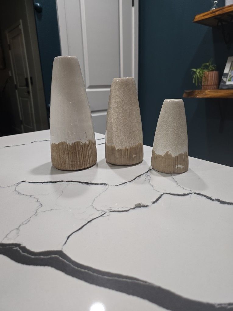 3 Adorable Vases