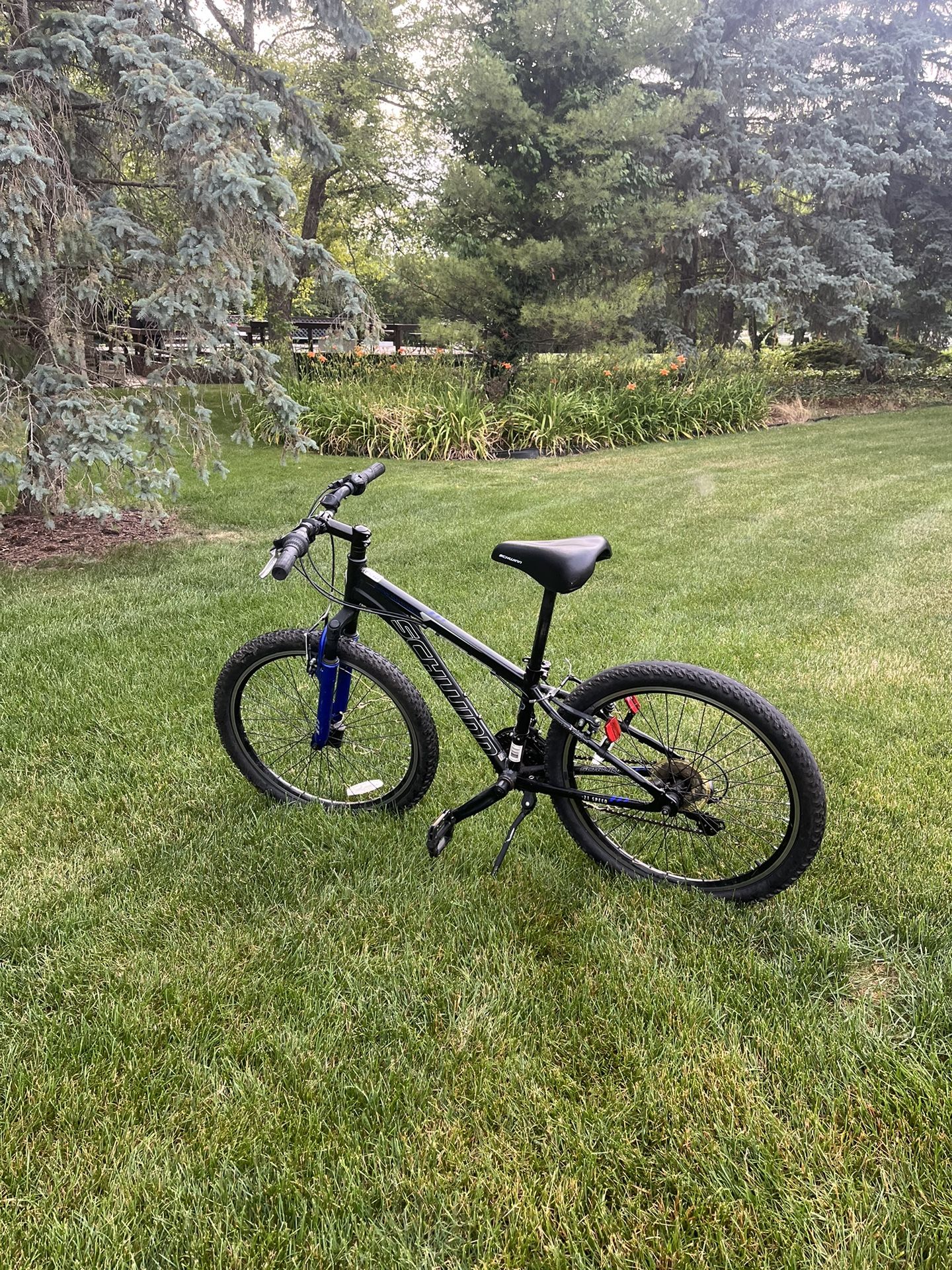 Schwinn Youth Mountain Bike