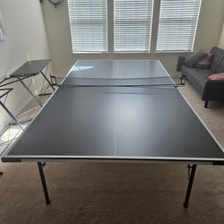 Ping Pong Table