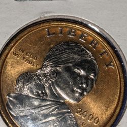 Sacagawea Coins