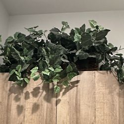 Faux/artificial plants