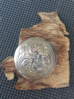 Silver button on animal skin