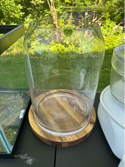 Terrarium