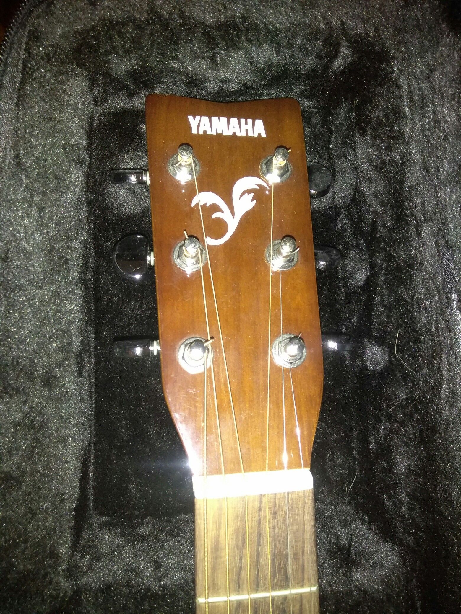 Acoustic guitar