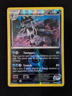Team Aqua's Mightyena 18/34