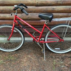 Schwinn Cruiser