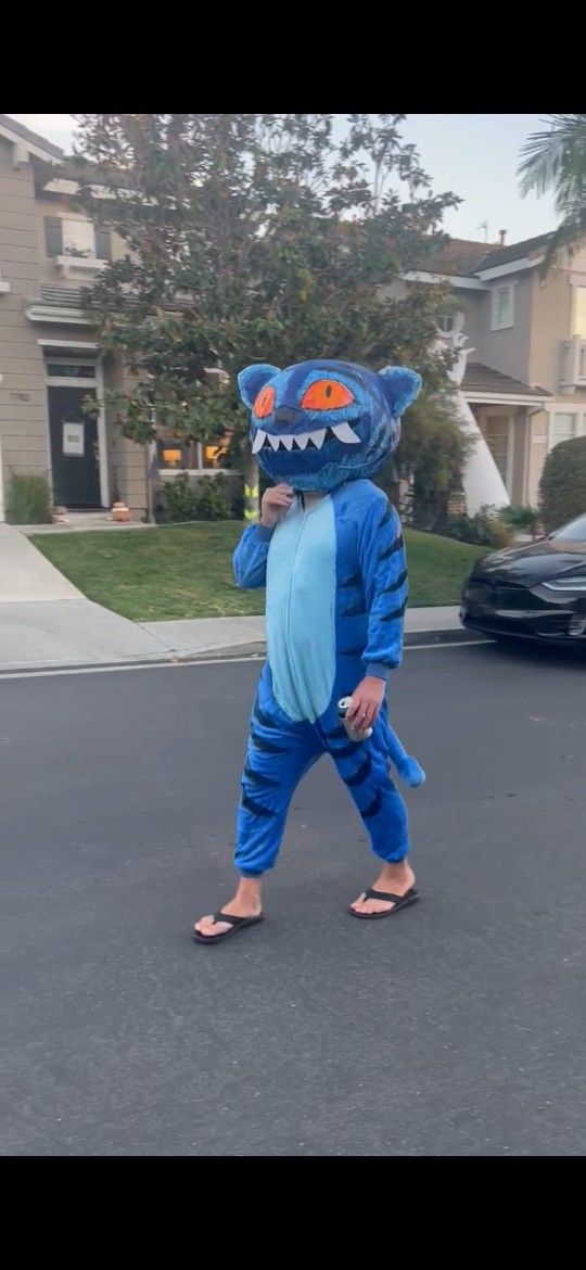 Derpy Cat, K Pop Demon Hunters Costume