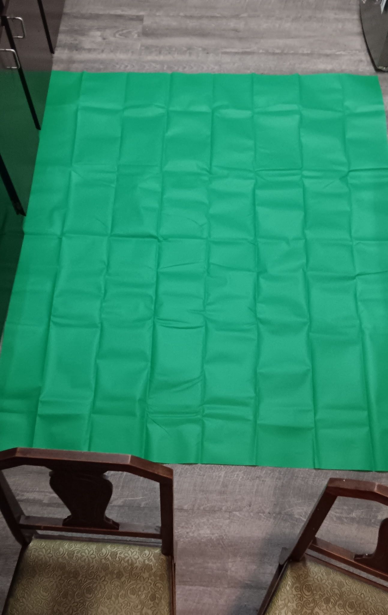 Green Screen Back Drop