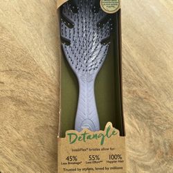 New Large Wet Brush Detangling Brush Purple Color 