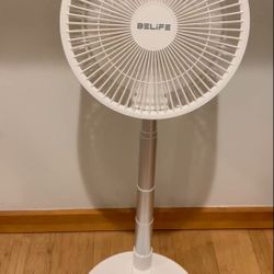 Fan 