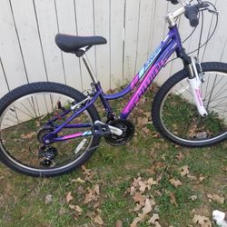 SCHWINN MOUNTAIN BIKE