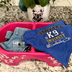 Doggy Jeans + Pawvard Canine University Dog Bandana