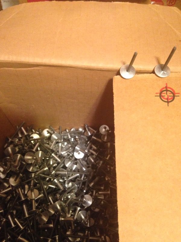100 Pop Rivets. Race car special.