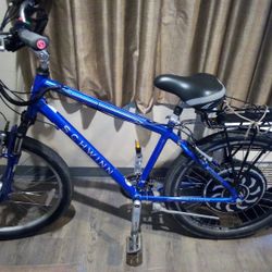 Shwinn Ebike 