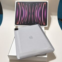 iPad Pro 12.9 M2 (6th Gen) 256GB – Excelente condición