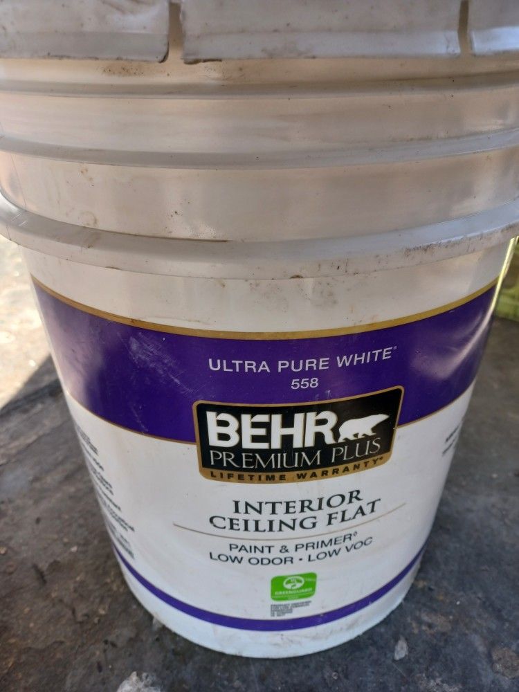 5 Gallons Ceiling White Paint