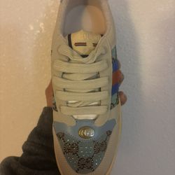 Gucci Screener Brown Blue Red 