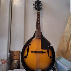 Appalachian Mandolin