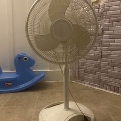 fan