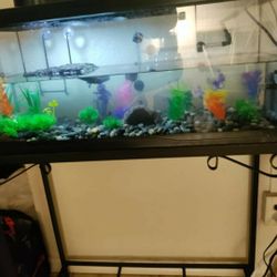 20 Gallon Tank With Stand