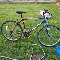 Road master USA mountain climber Made in the USA.