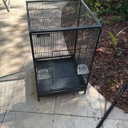 Bird Cage