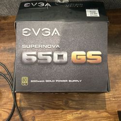 EVGA 650 GS 80+ Gold PSU