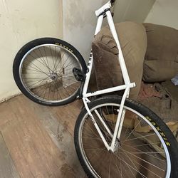 Street co 29er