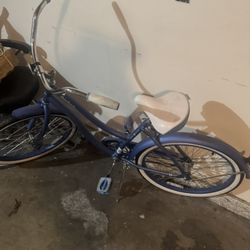 blue bike (large)