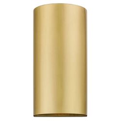 Livex Lighting Outdoor/Indoor light Satin gold