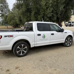 Ford F150 2020 Stx 