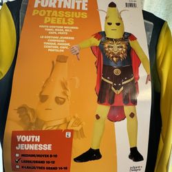 Fortnite Costume 
