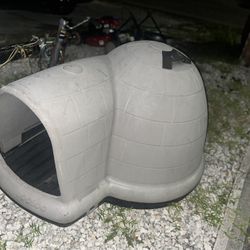 pet igloo