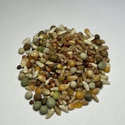 Pigeon Feed Portions For Pet Pigeons