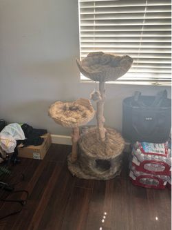 Mau Modern Cat Tree - Cento Brown