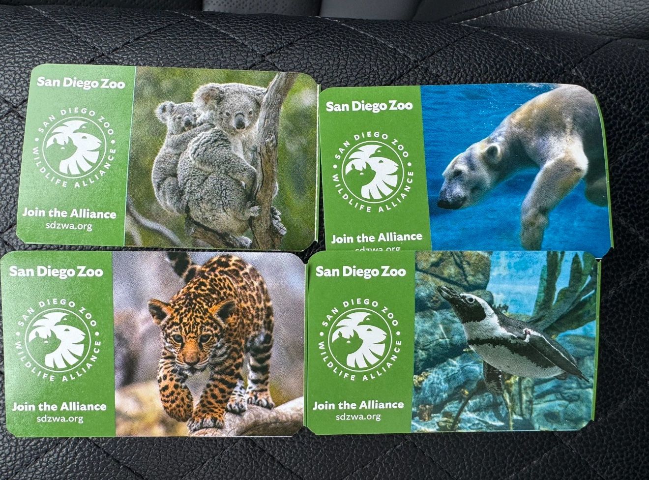 San Diego Zoo And Safari Park 