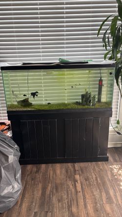 55 gal fish tank and stand