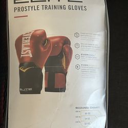 Everlast Training Gloves 16oz