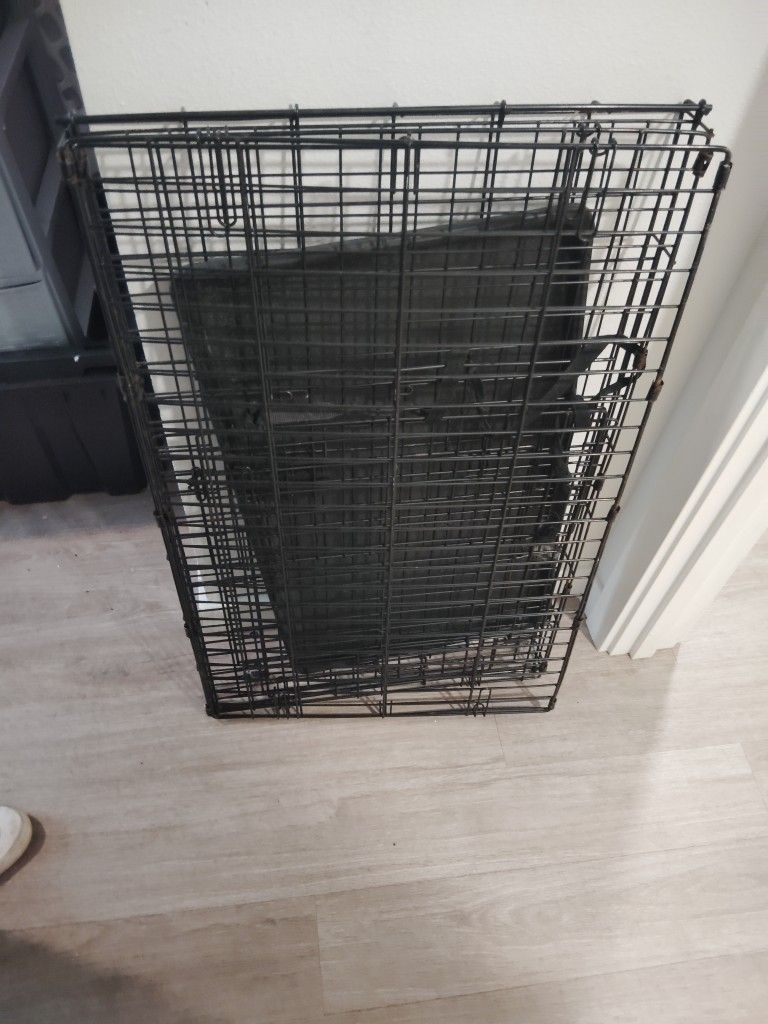 Kennel