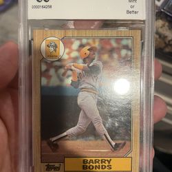 Barry Bonds Rookie Graded 10!