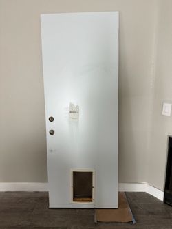 White Masonite Door with front and back metal plating Pet Door