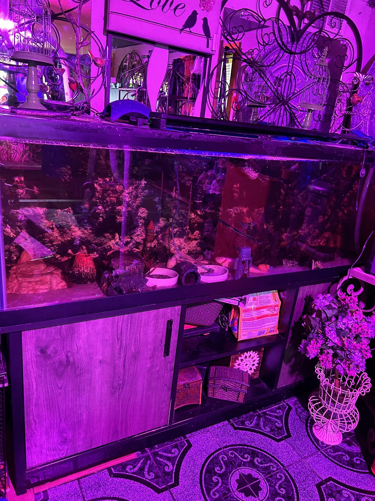 – Fish tank