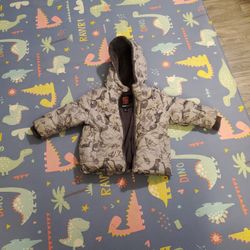 2T Grey Dinosaur Boy/girl Jacket 