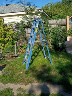 Louisville 6ft fiberglass ladder, 225 capacity