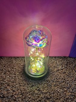 Rose Under Glass