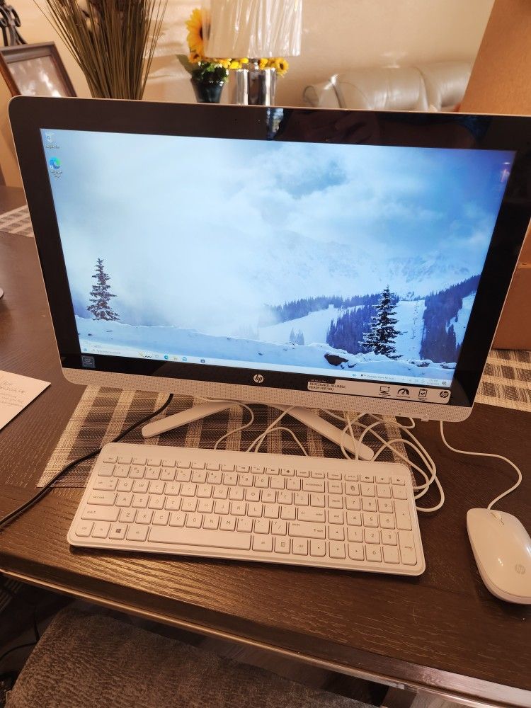 22in HP Computer