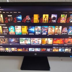 Computer Monitors HP 23in  dual monitor stands available