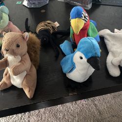 6 Beanie Babies