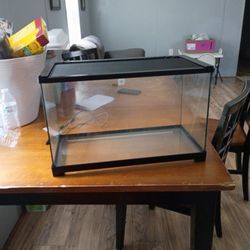 Fish Tank