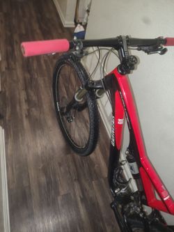 29 in specialized